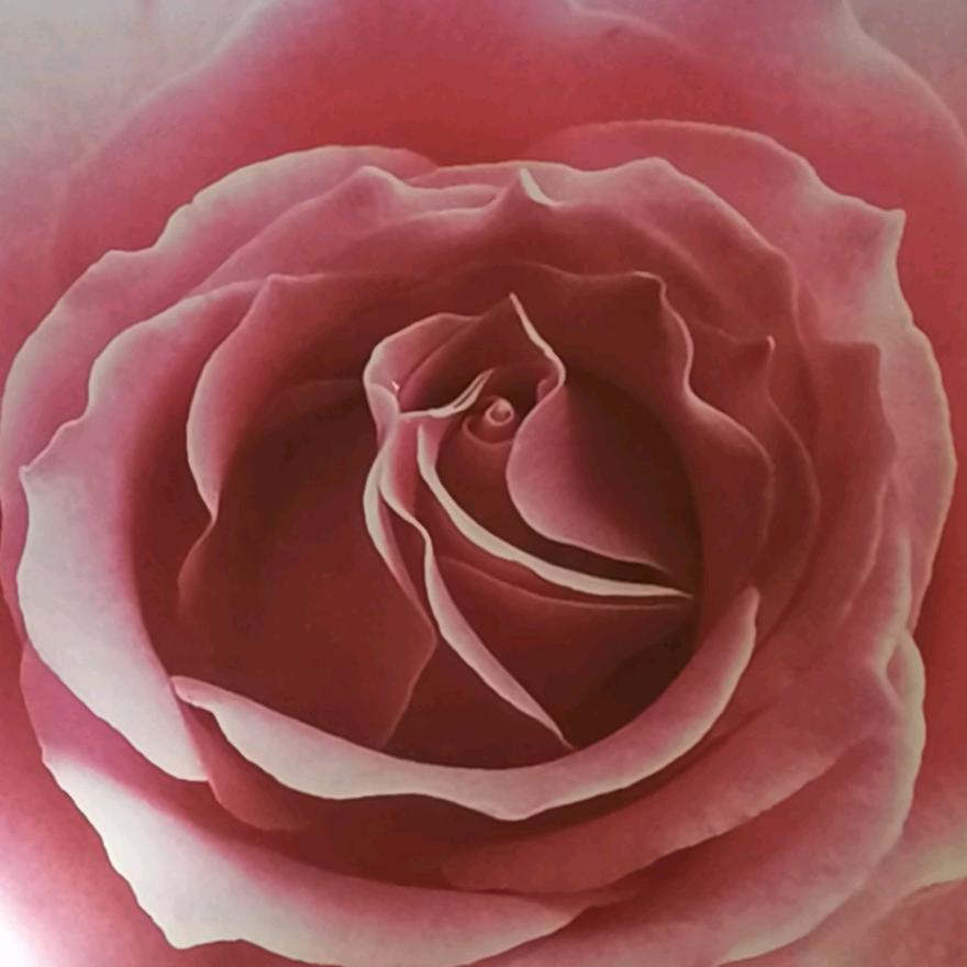 风住尘香花已尽