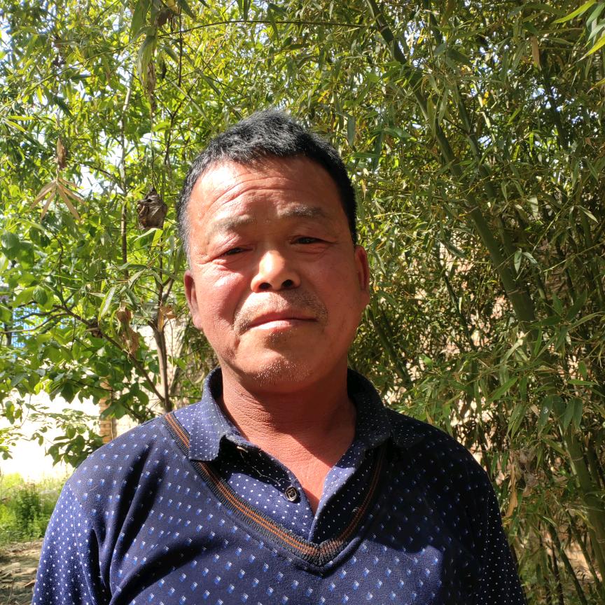 传统文化