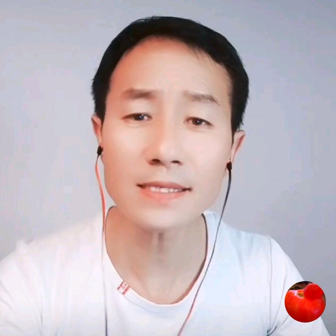 辣子西红柿