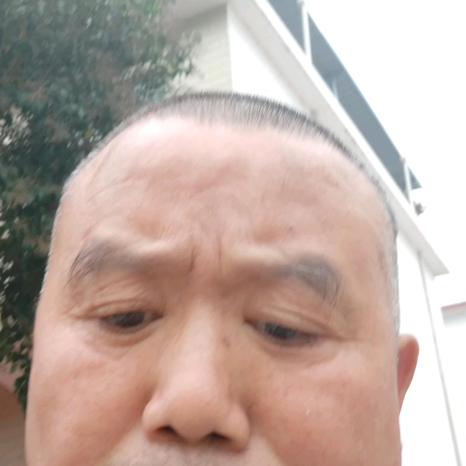 老虎哥