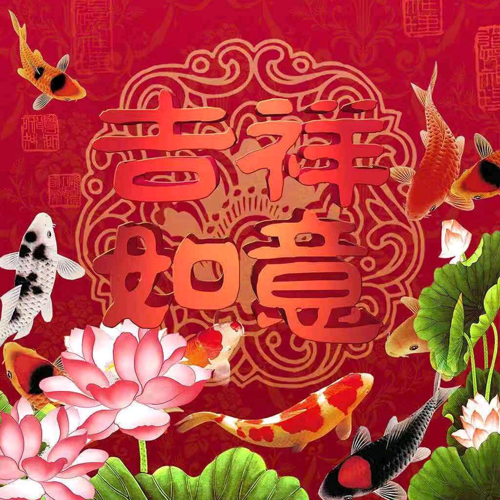 🌻️小葵花🌻️