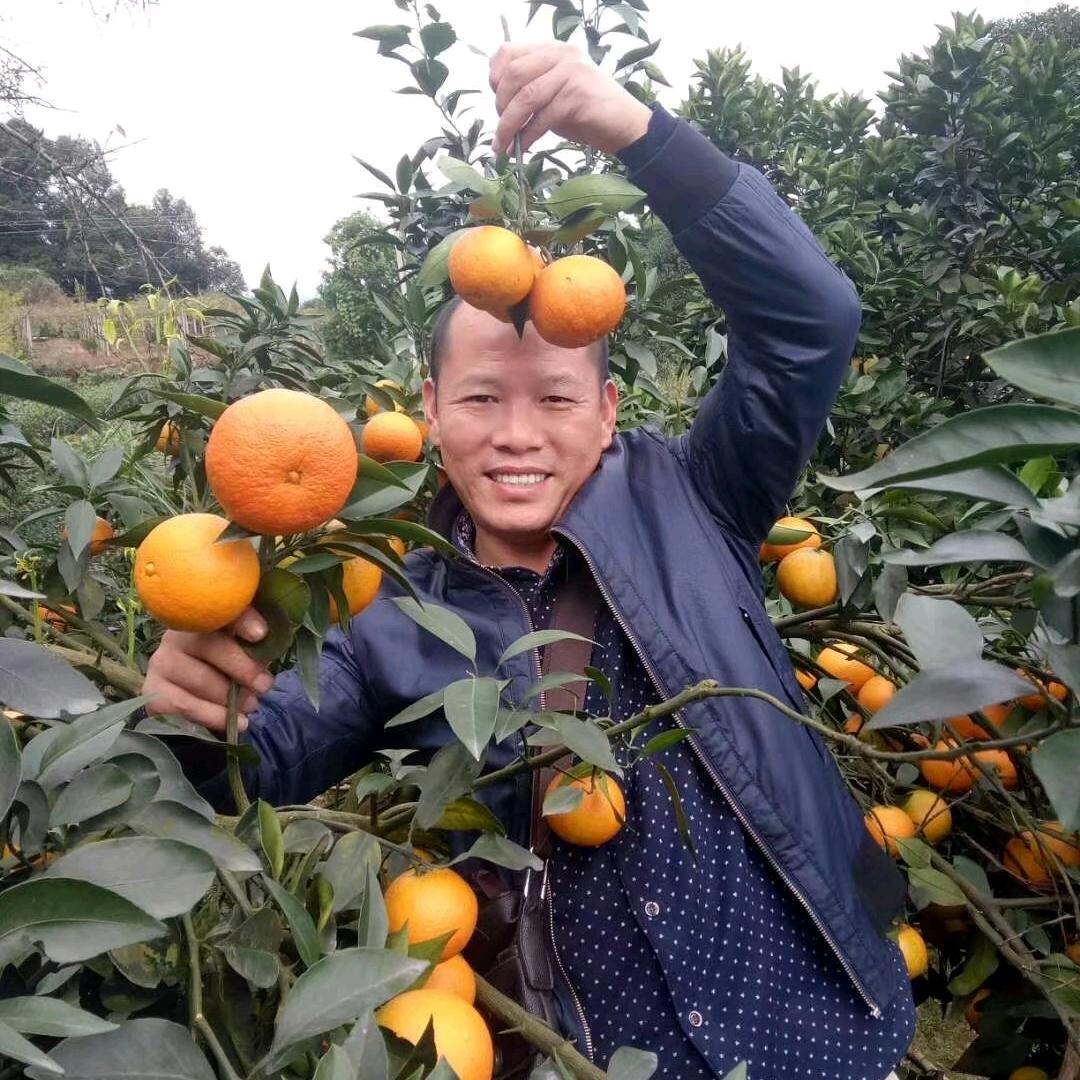 果农王大哥