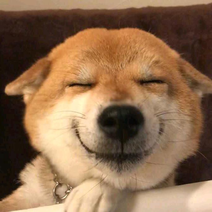 书亦烧仙草不加仙草
