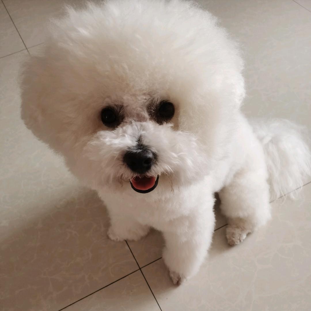 英(6.26)