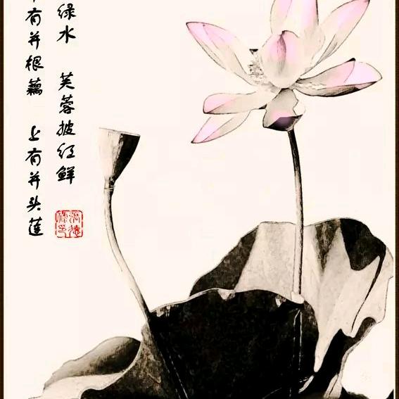 摄游客