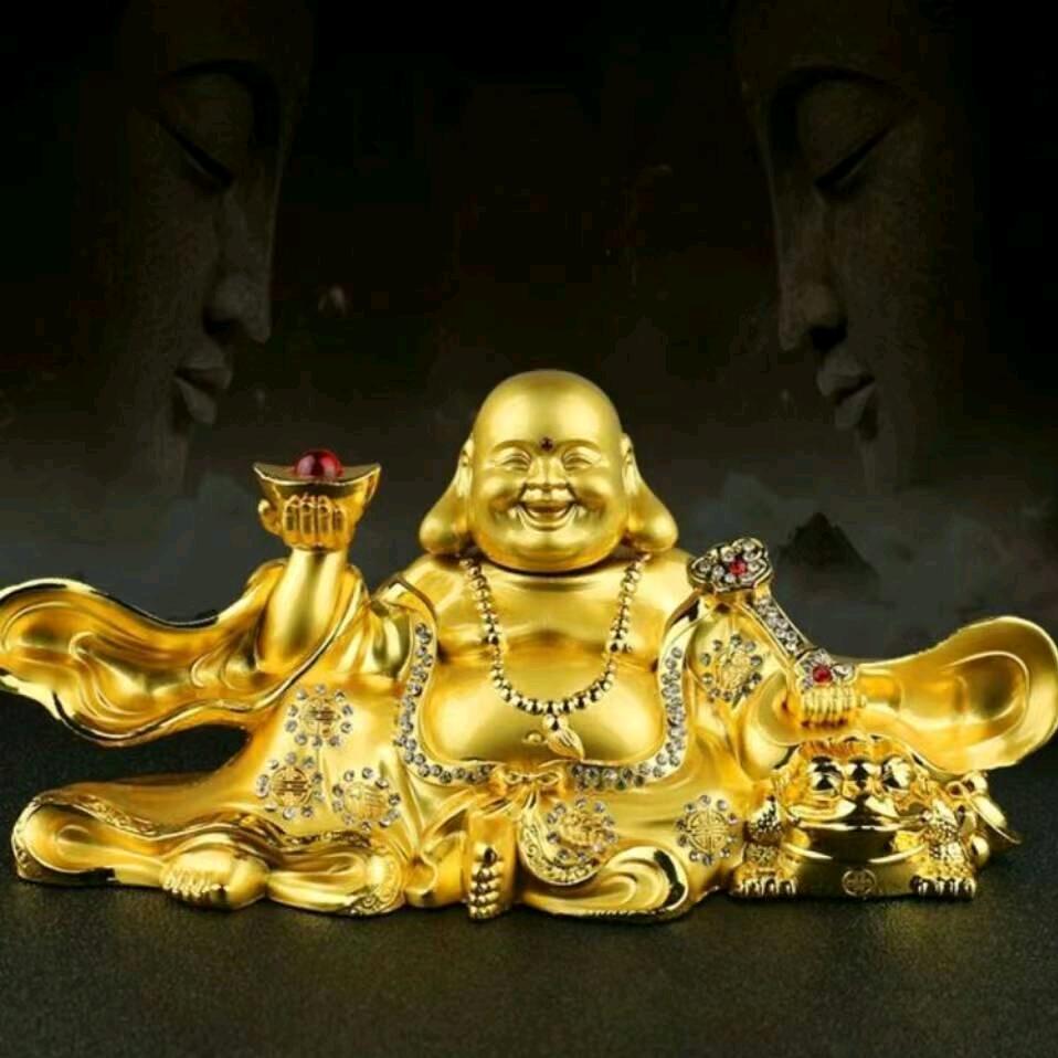云哥