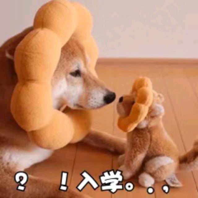 微微一笑