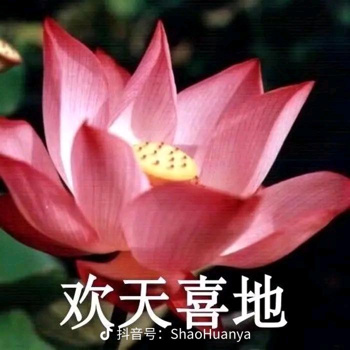 开心的老妈