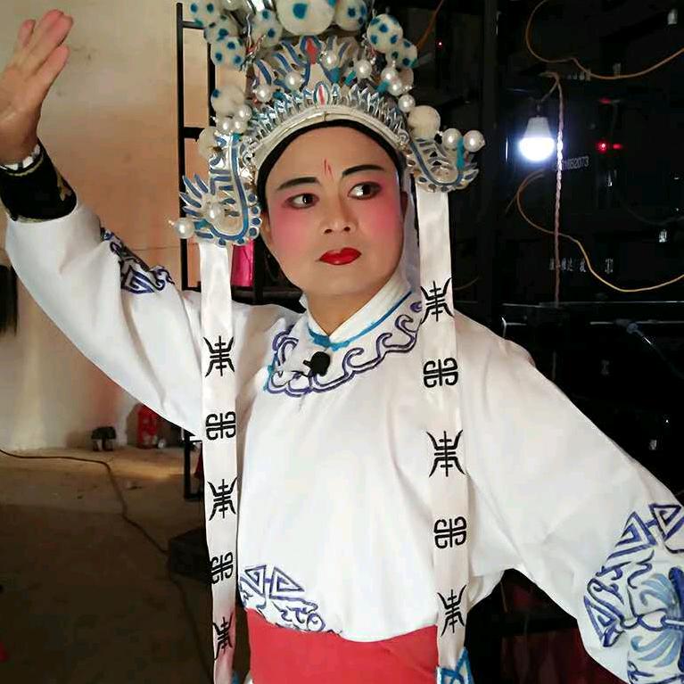 黄梅戏主持人酸李子