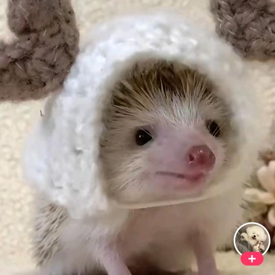 彼此都以为对方会回