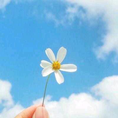 ♥随意