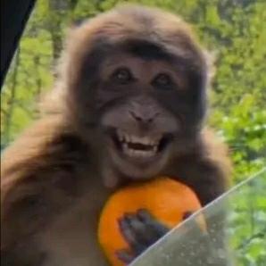 孟尝君面向日出方向