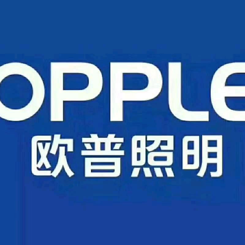 欧普吊顶，蜂窝大板，