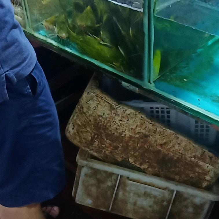 夜已深了