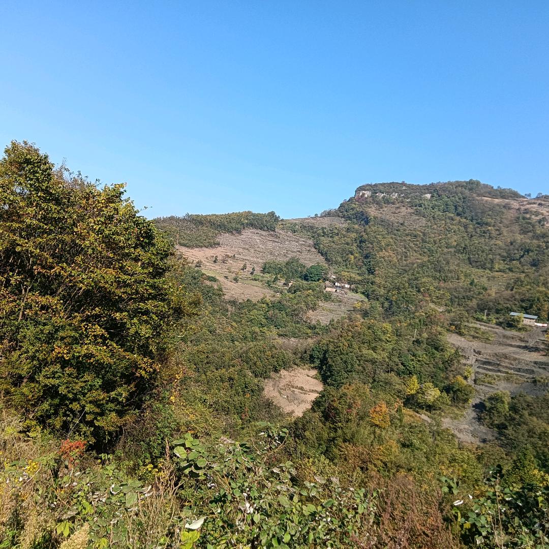 时来运转