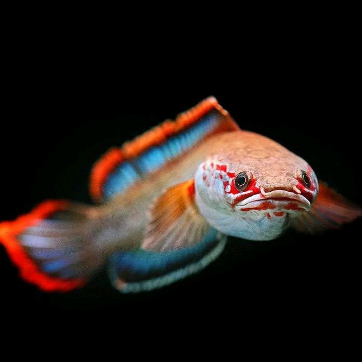 有趣的灵魂130斤