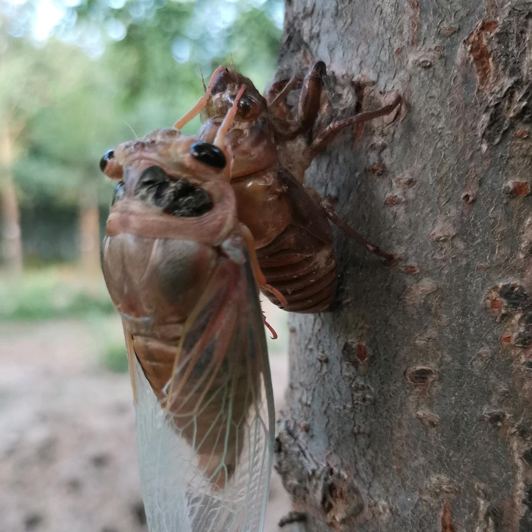 文山洗护清洁专营店