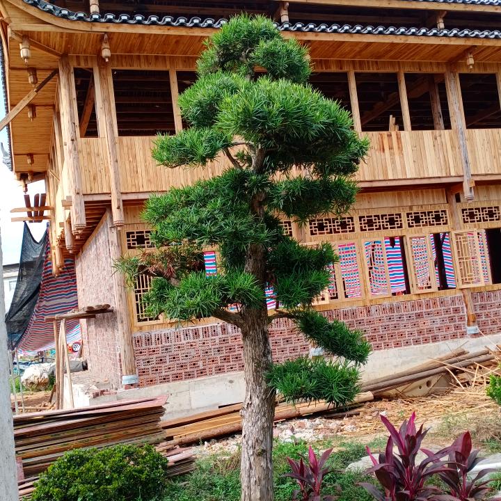 车技不过关，少走云贵川！