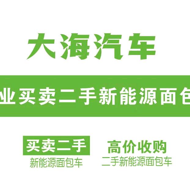 聪少-大海新能源面包车