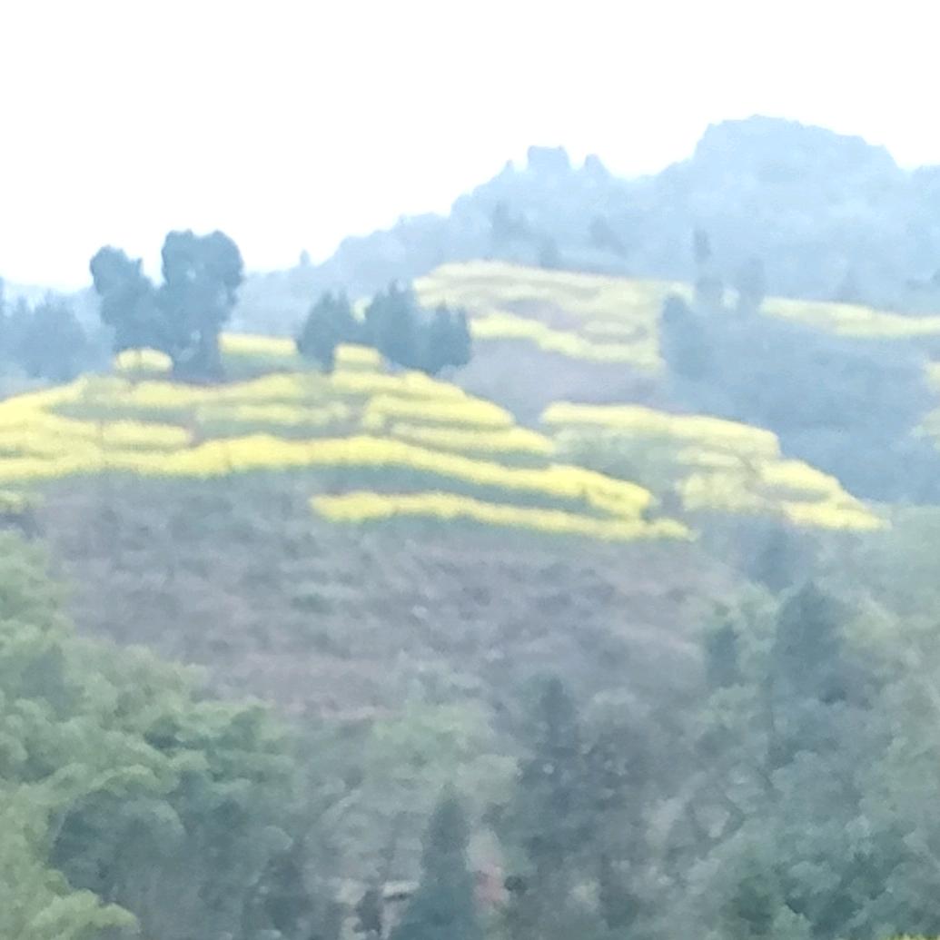 余生你陪我
