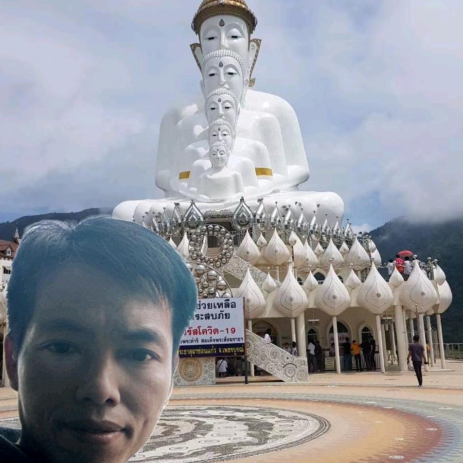 回头浪