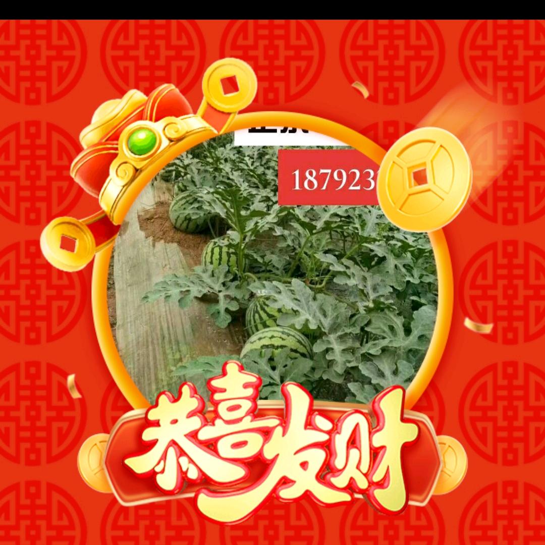 财富自由@正宗(8424西瓜)王哥