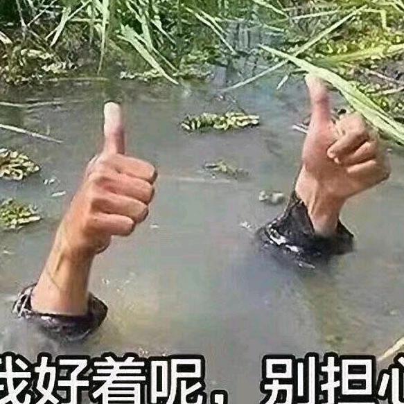 ٩(•̤̀ᵕ•̤́๑)💪加油