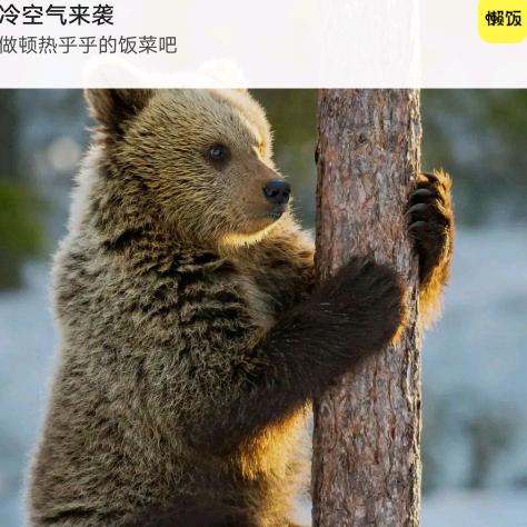 用户7894213140763