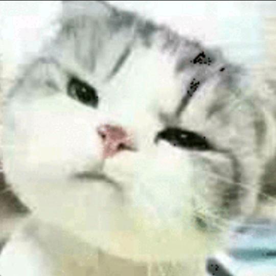 贾老练