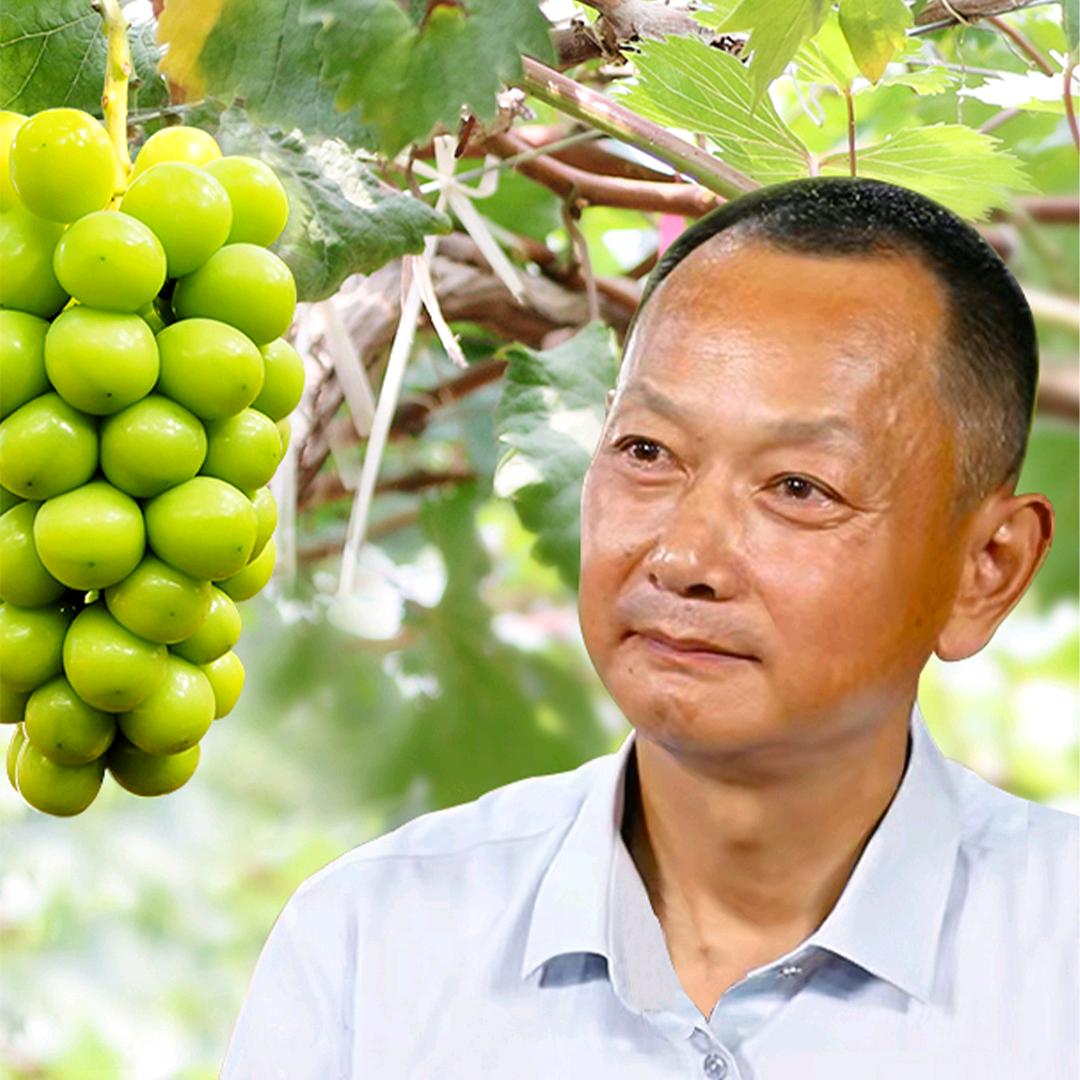 徐卫东神园葡萄