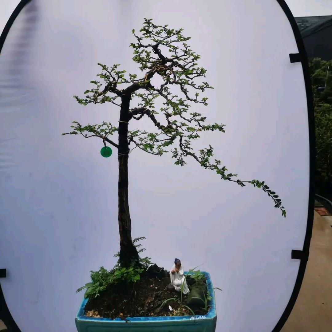 清风明月123