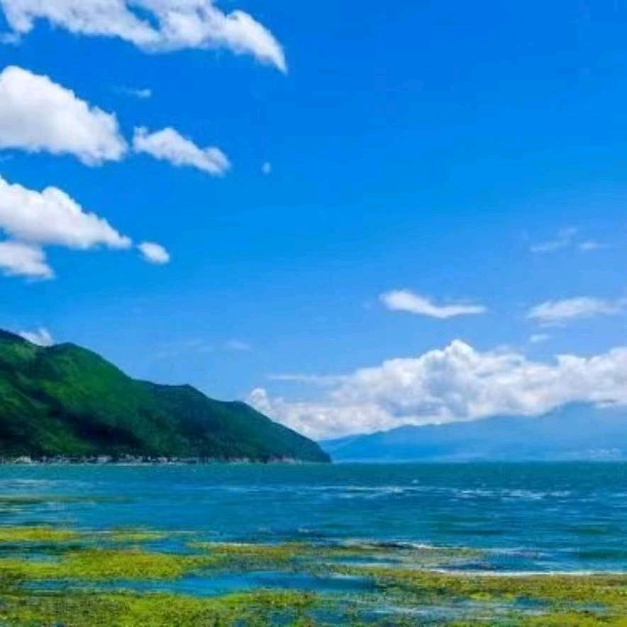 一路向前