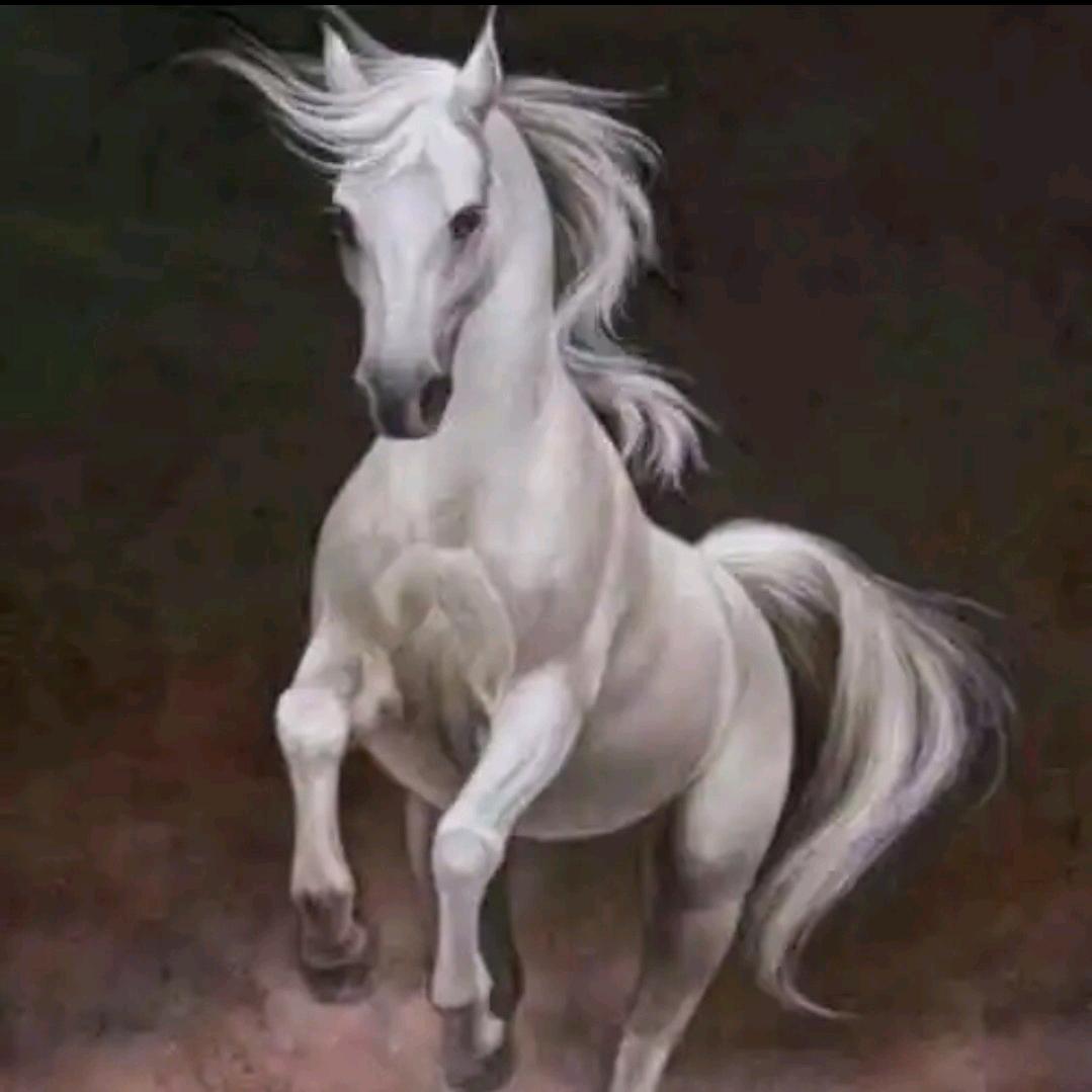 🌈马到成功🌈