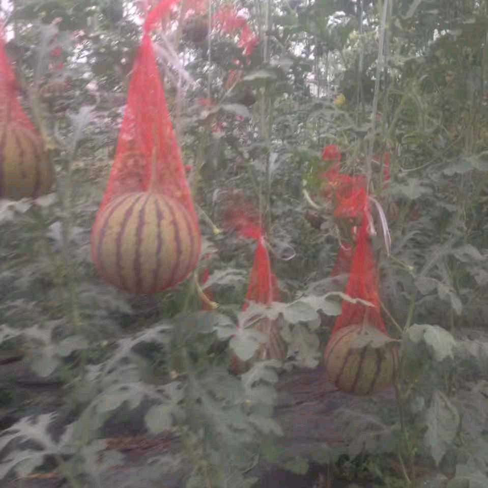 山东菜馆〈非洲科特迪瓦〉