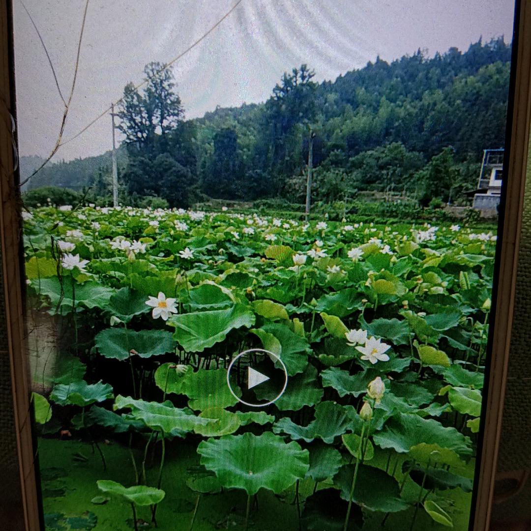 ✨熊姐好物推荐✨天天快乐✨