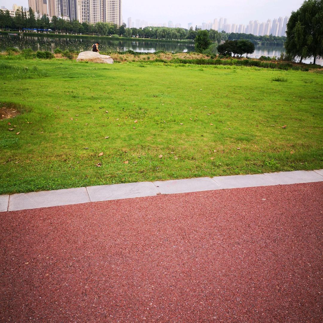暗香袭袭