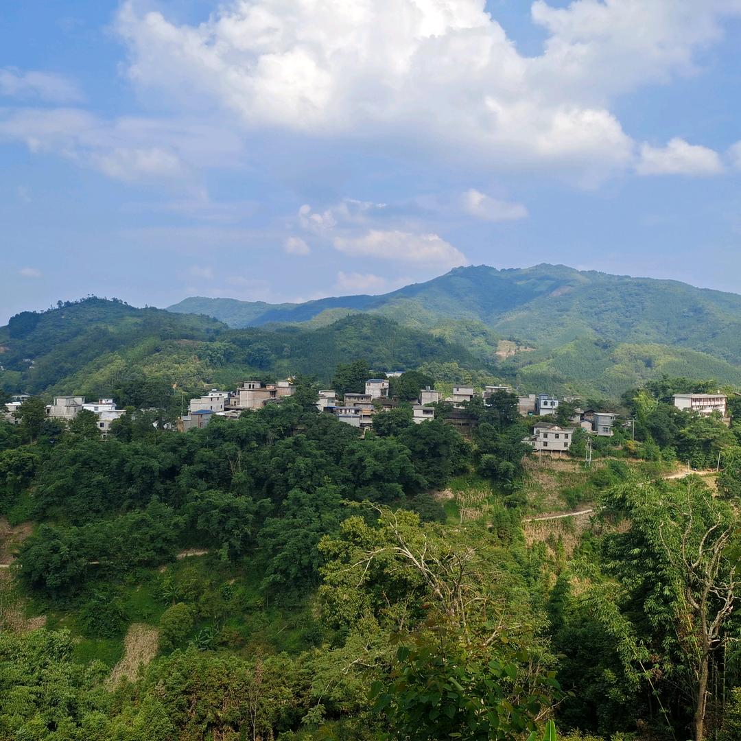 华丽的转身