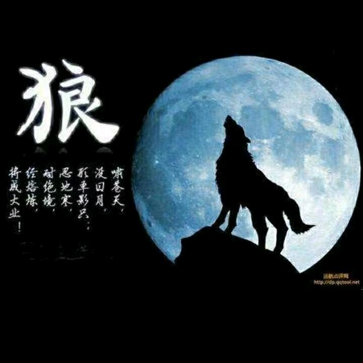 锋哥