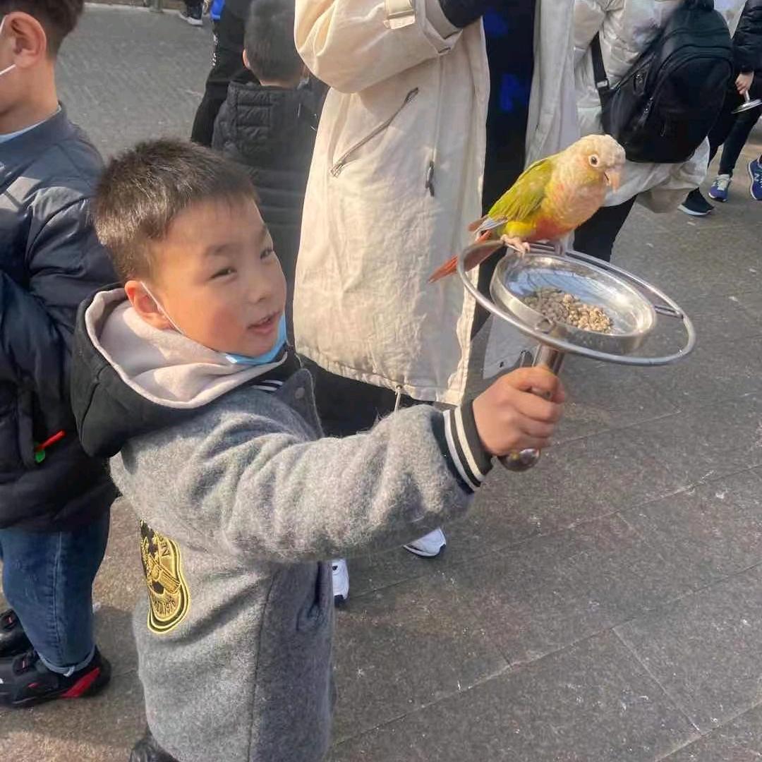 心愿