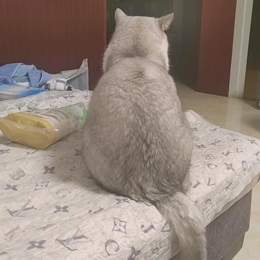 。。。。。。