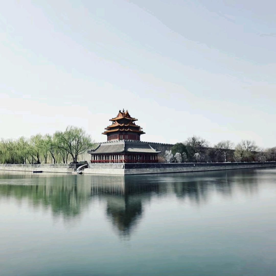 紫苏🍑桃子🎍