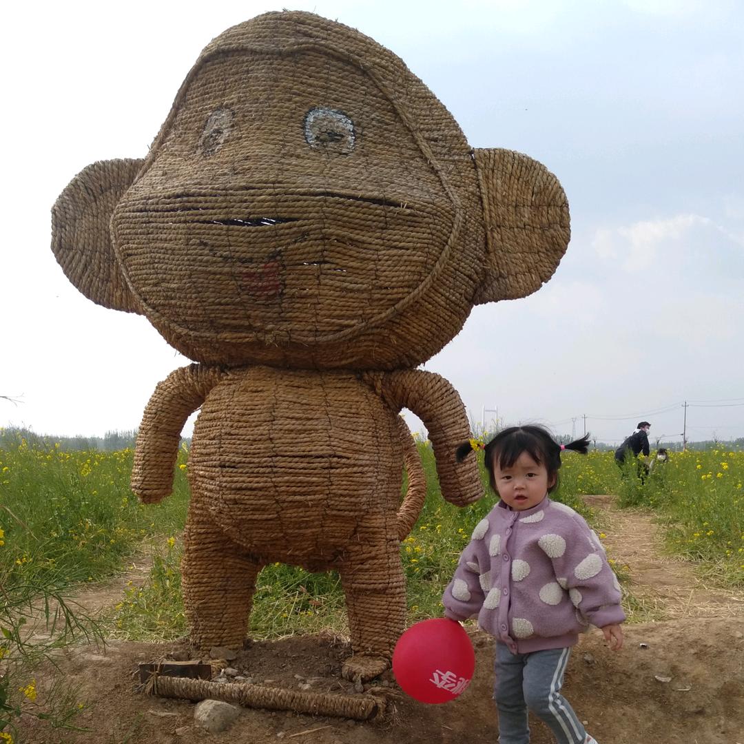 喜子哥