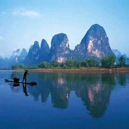 清茶淡饭