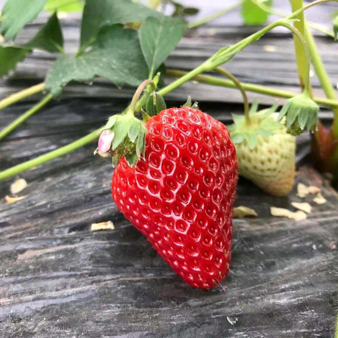 用户283272719742天天开心