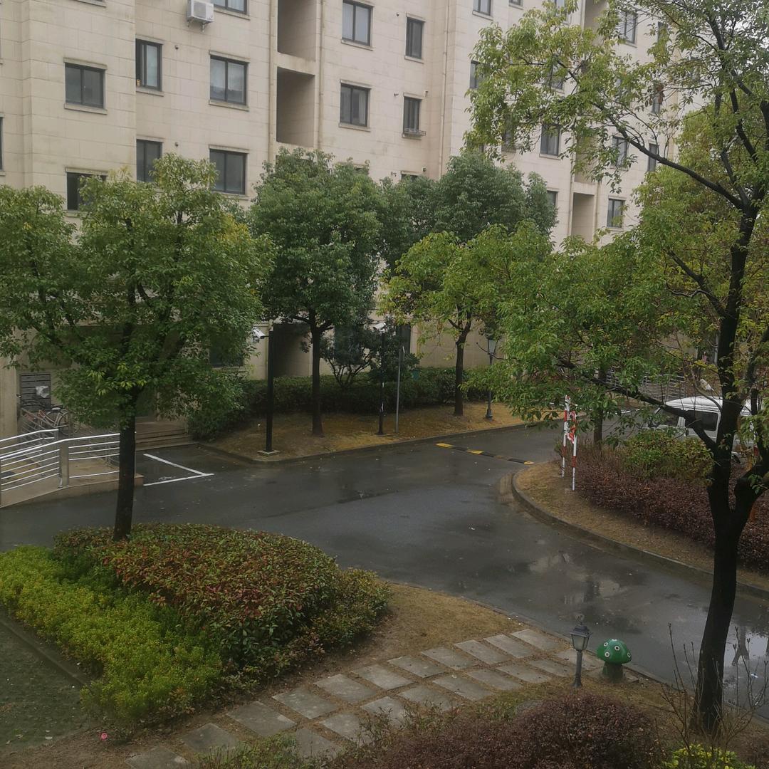 香水萢萢