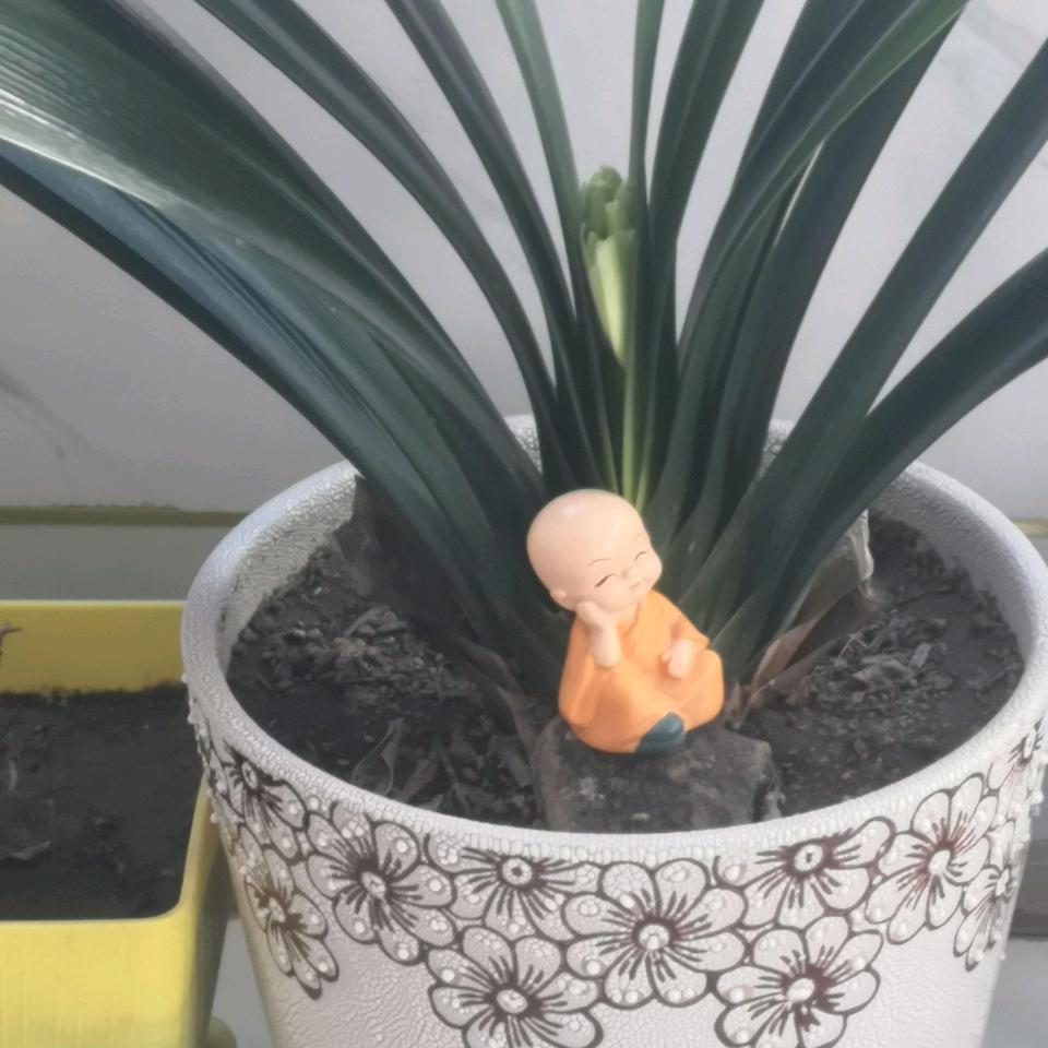 一如既往
