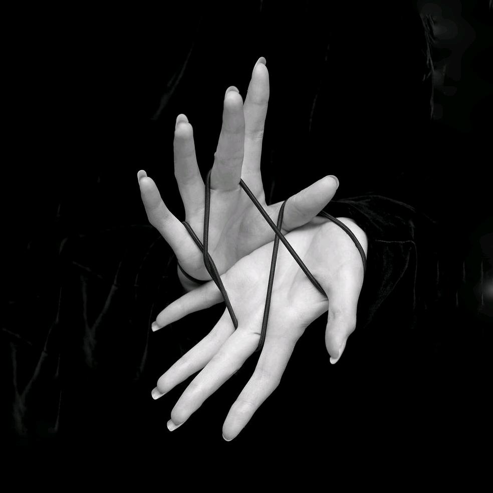 莫扎特LOW