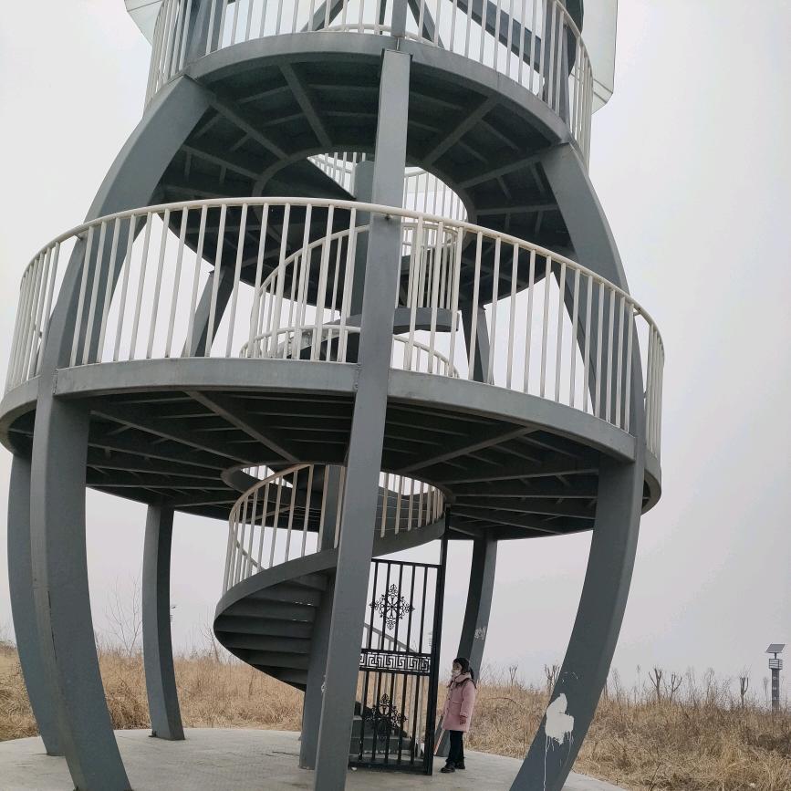 风沙崛起