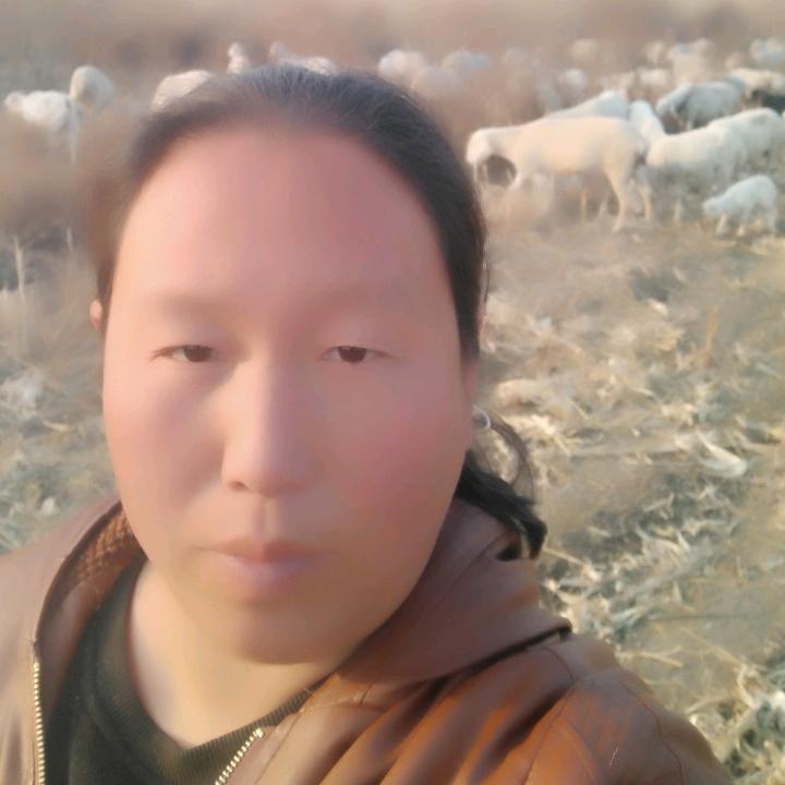 😁老郭羊肉