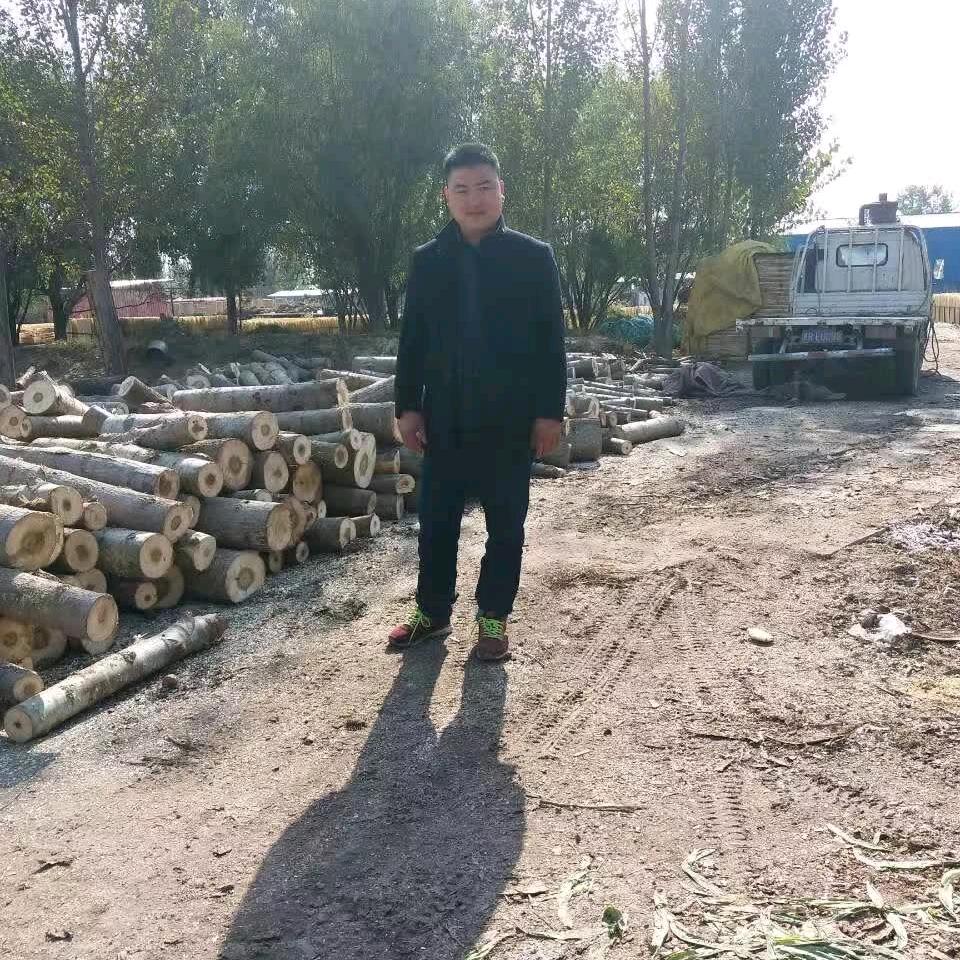 梦想成真